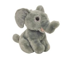 Ziki Słoń 14cm