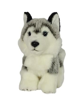 Pies Husky 19cm