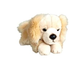 Pies Retriver leżący 30cm