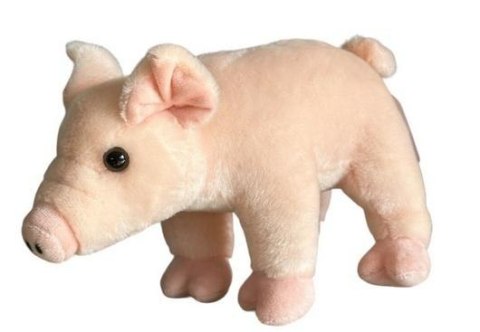 Świnka różowa 22cm