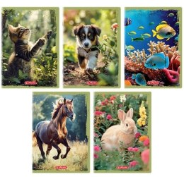 Zeszyt A5/32K linia z marginesem Animals (10szt)