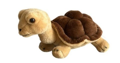 Żółw lądowy brązowy 20cm