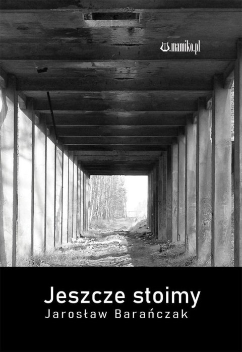 Jeszcze stoimy