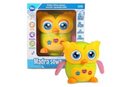 Mądra Sowa E-Edu mówi po polsku