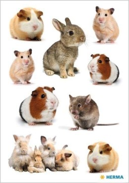 Naklejka Decor gryzonie