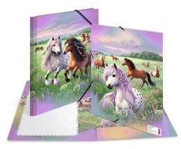 Teczka A3 gumki narożne - Świat koni
