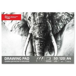 Szkicownik A4/50K 120g Słoń