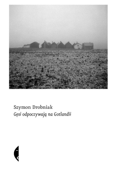 Gęsi odpoczywają na Gotlandii