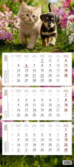 Kalendarz 2026 ścienny trójdzielny Przyjaciele