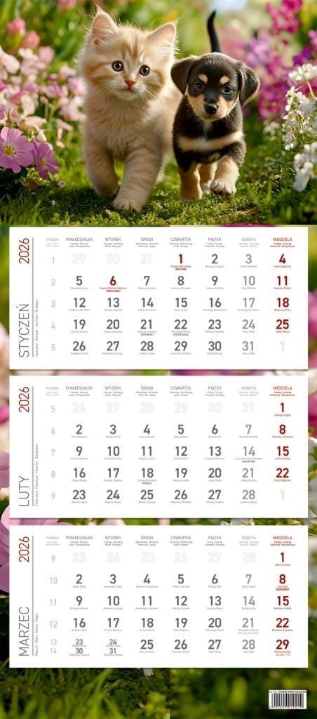 Kalendarz 2026 ścienny trójdzielny Przyjaciele