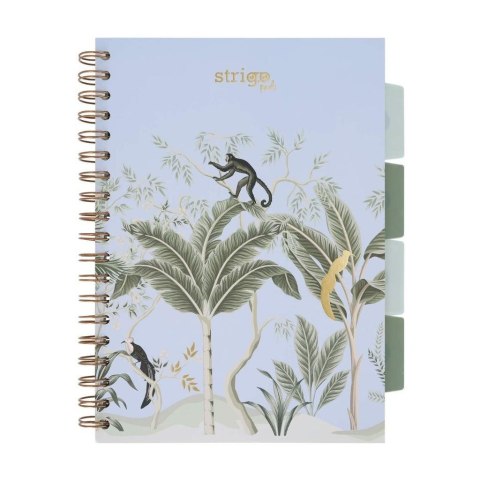 Kołozeszyt Pads B5/100K kratka Afryka pastel nieb