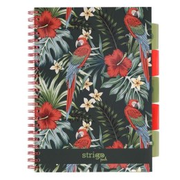 Kołozeszyt Pads A4/100K kratka Tropiki Papuga