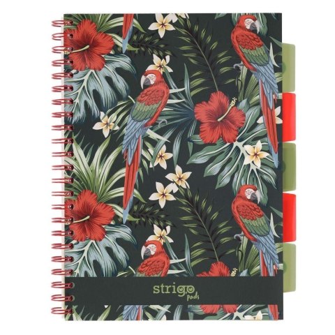 Kołozeszyt Pads A4/100K kratka Tropiki Papuga