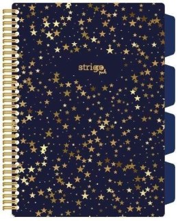 Kołozeszyt Pads B5/100K kratka Gwiazdy