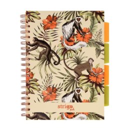 Kołozeszyt Pads B5/100K kratka Tropiki Małpki