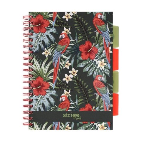 Kołozeszyt Pads B5/100K kratka Tropiki Papuga