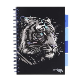 Kołozeszyt Pads B5/100K kratka Tygrys