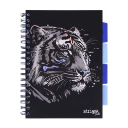 Kołozeszyt Pads B5/100K linia Tygrys