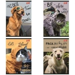 Zeszyt A5/60K linia Traveler (10szt)