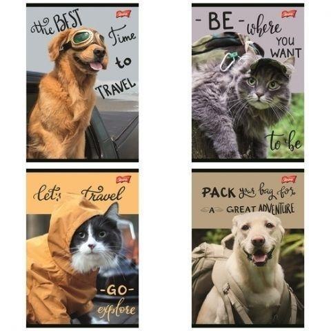 Zeszyt A5/60K linia Traveler (10szt)