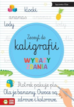 Zeszyt do kaligrafii. Wyrazy, zdania