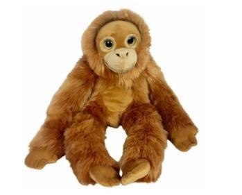 Orangutan big eyes 50cm