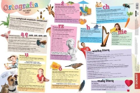 Podkładka na biurko Zasady ortografii