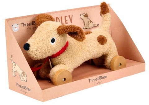 Piesek na kółkach do ciągnięcia Dudley