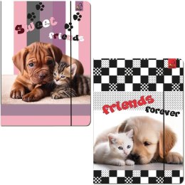 Teczka A4 z gumką Psy Koty mix