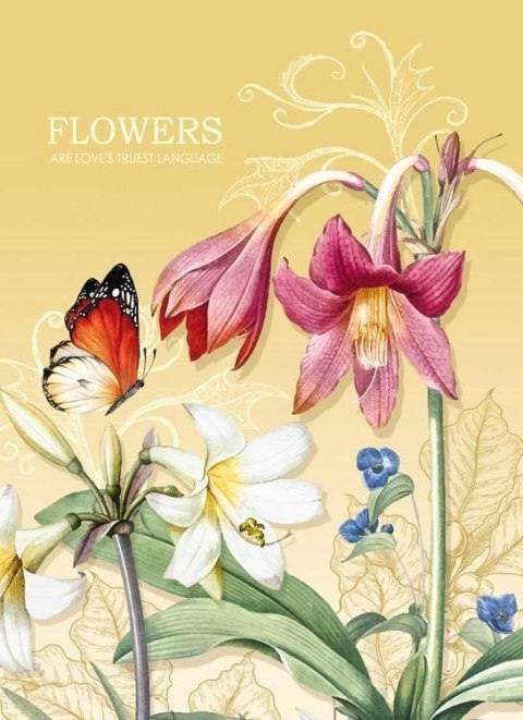 Notatnik ozdobny 145x197/64K kratka TW Motyl