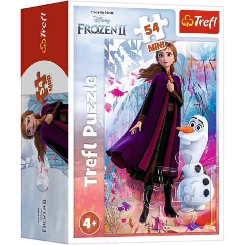 Puzzle 54 mini W świecie Anny i Elsy 1 TREFL