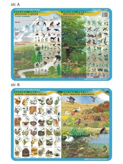 Podkładka edu. 020 - Piętrowość w górach i lesie..