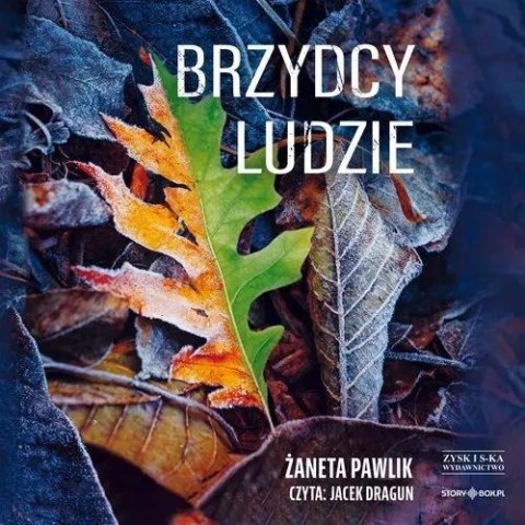 Brzydcy ludzie audiobook