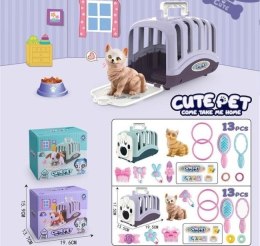 Pojemnik z kotem i akcesoriami