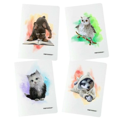 Zeszyt A4/32K linia kolor PP Joy (4szt) NARCISSUS