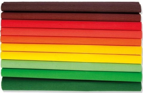 Bibuła marszczona 25x200 Jesień mix 10 rolek