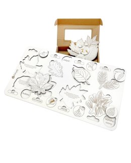 Liście i owoce drzew