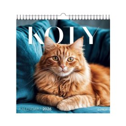 Kalendarz 2026 wieloplanszowy kwadrat Koty