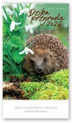 Kalendarz 2026 reklamowy Dzika przyroda