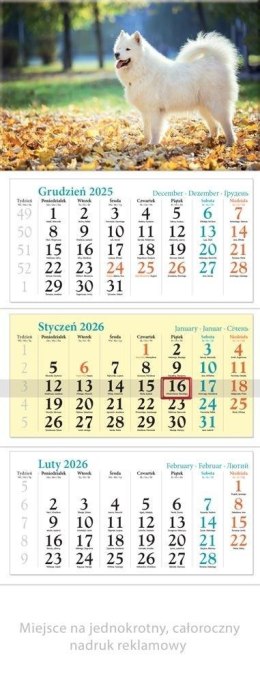 Kalendarz 2026 ścienny trójdzielny Pies