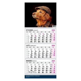 Kalendarz 2026 Trójdzielny Twarda Główka Pies