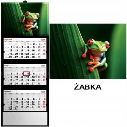 Kalendarz 2026 trójdzielny żaba