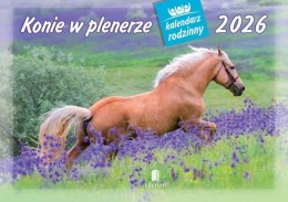 Kalendarz 2026 rodzinny Konie w plenerze