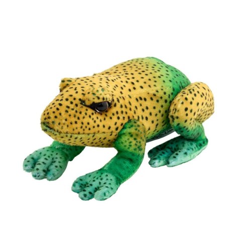 Żaba zielono-żółta 13cm