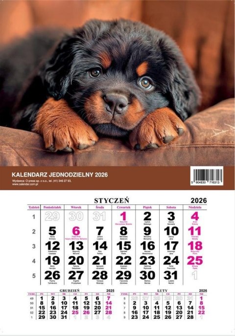 Kalendarz 2026 jednodzielny Pies