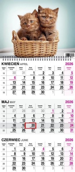 Kalendarz 2026 trójdzielny na spirali Koty