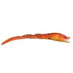 Murena pomarańczowa 80cm