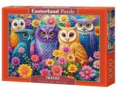 Puzzle 3000 Flower Owl Meeting CASTOR