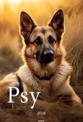 Kalendarz 2026 ścienny A3 Psy