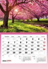 Kalendarz 2026 ścienny Kwitnące drzewa